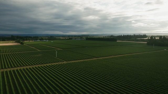 CBS cold-chain freight operations in the Pacific Northwest